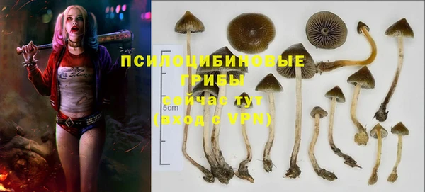 MESCALINE Богданович